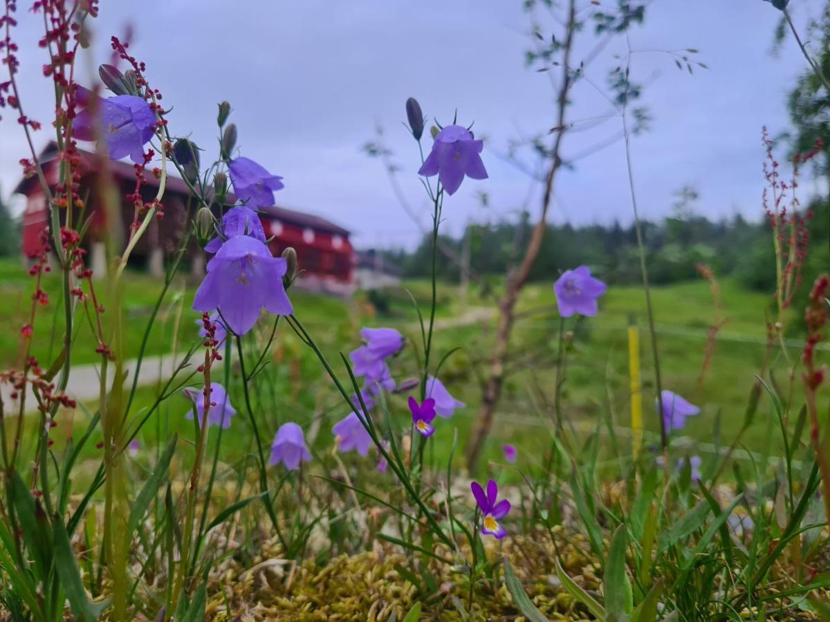 Sjoaasen Hytte Tuddal Exterior foto